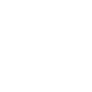 PG BISON